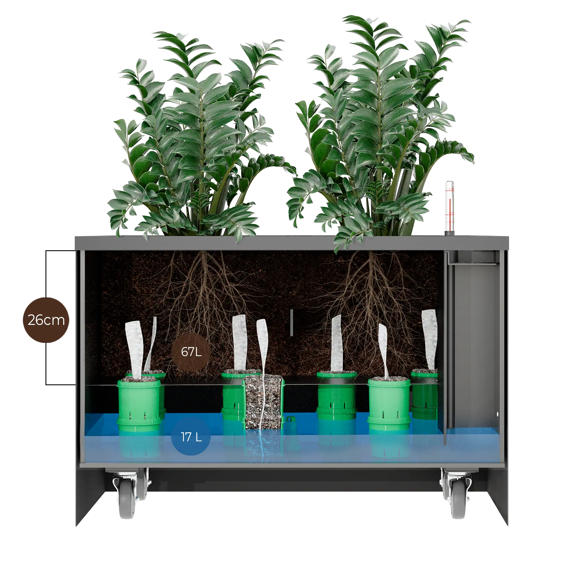 Detailní pohled na přesazovací systém s dvěma řadami košíčků